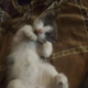 Kevin