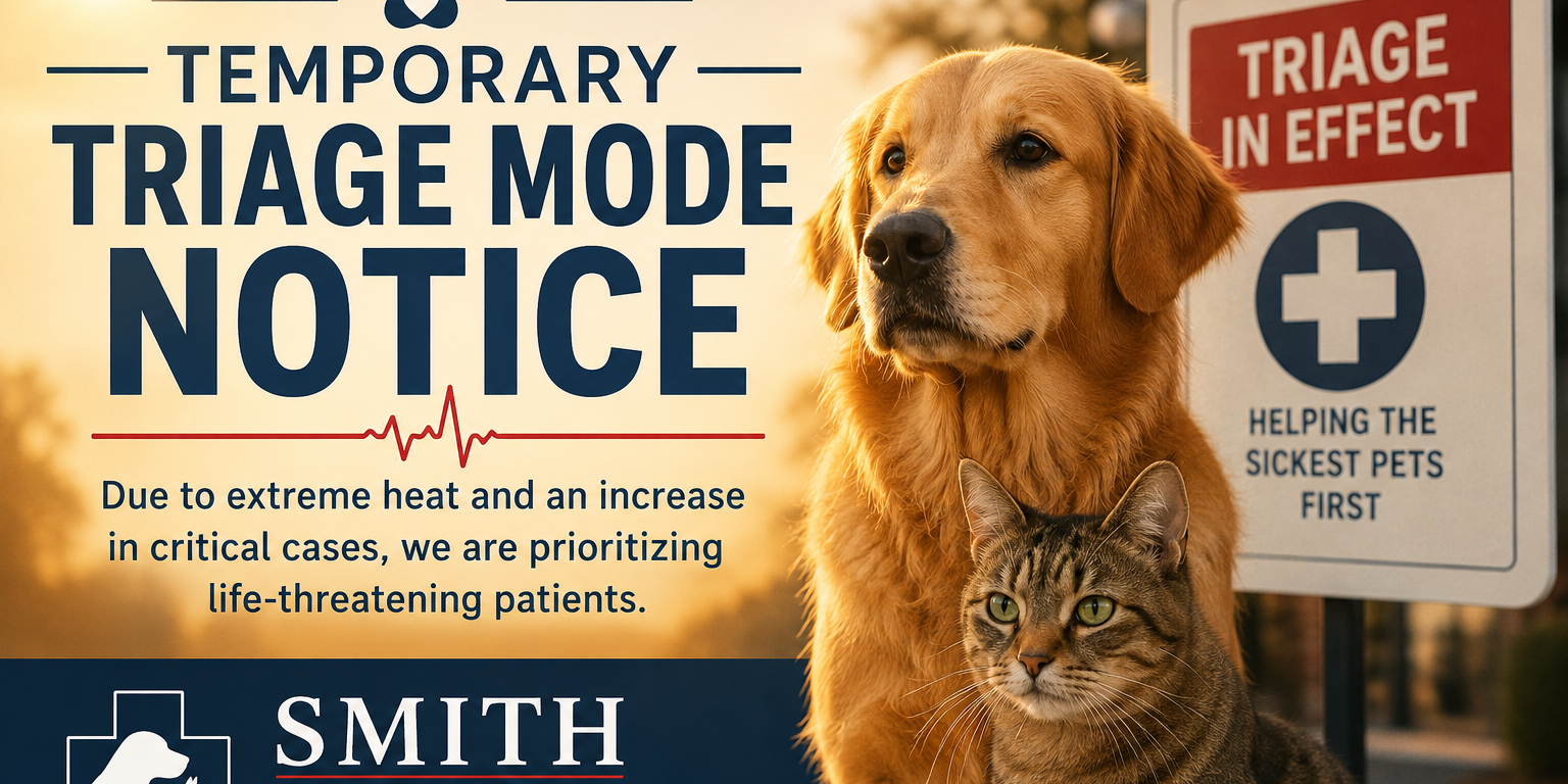 temporary triage mode
